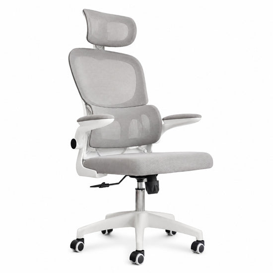 Silla Gerencial MODAMOB modelo Polar, Respaldo y Cabecera De Malla, Piston De Gas C3 120Kg, Reposabrazos, Soporte Lumbar, Color Gris.