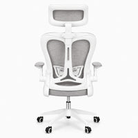 Silla gerencial MODAMOB, modelo Graphite, reposabrazos, Cabecera y respaldo de malla, piston de gas C3 120Kg, Color Blanco/gris